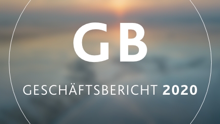 Bild mit Link zum PDF GB 2020