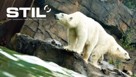 Bild mit Link zum STIL-Magazin 02/2010